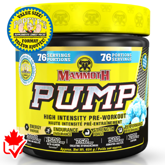 Mammoth Pump 76 Serv