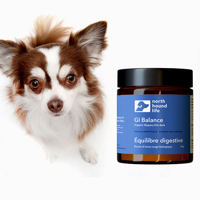 North Hound Life GI Balance