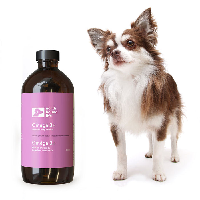 North Hound Life Omega Three +