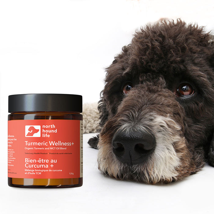 North Hound Life Turmeric Wellness +
