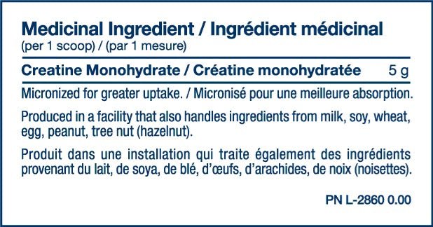 PVL Creatine 1200g