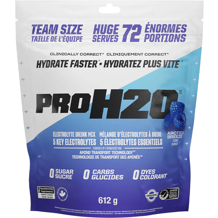 PVL Pro H2O Hydration Mix 612g