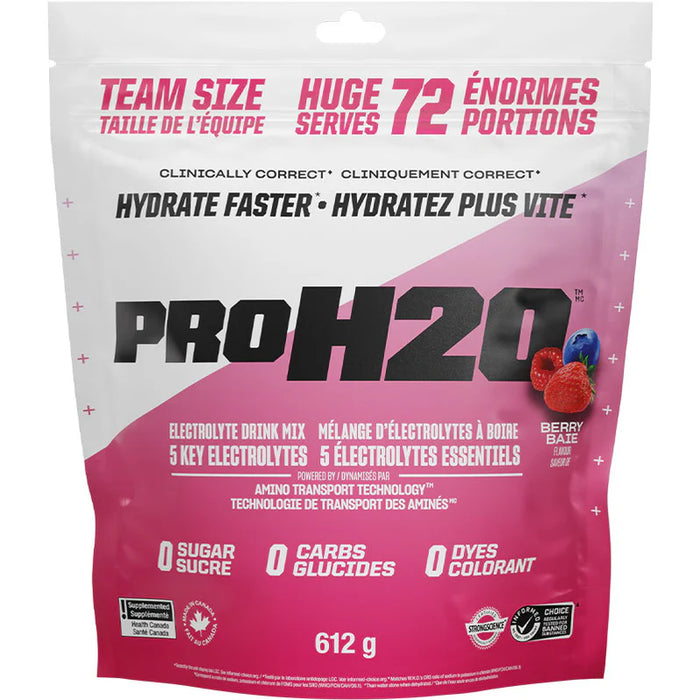 PVL Pro H2O Hydration Mix 612g