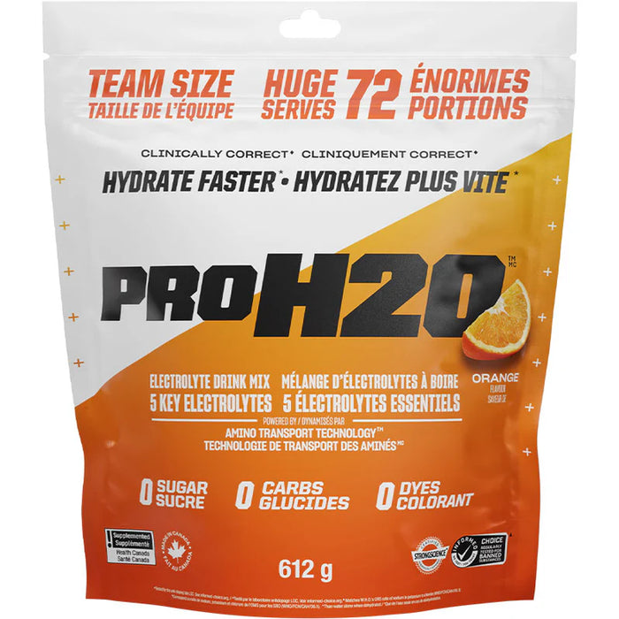 PVL Pro H2O Hydration Mix 612g